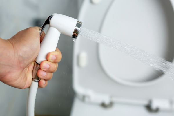 Cost of Bidet Installation in Woodbridge