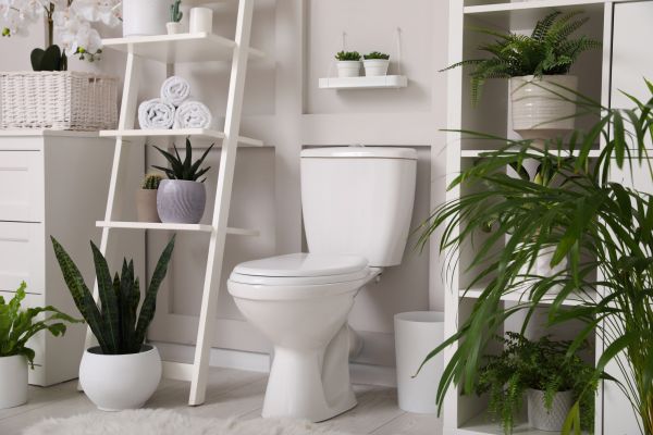 Toilet Repair in Woodbridge