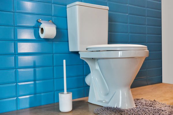 Toilet Tank Repair in Woodbridge