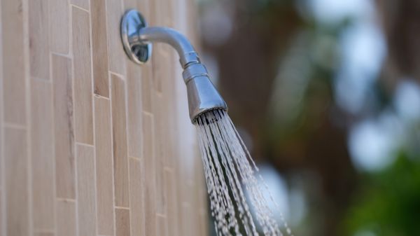 Cost of Showerhead Repair in Woodbridge