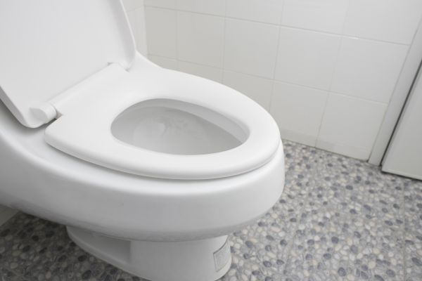 Cost of New Toilet Installation in Woodbridge