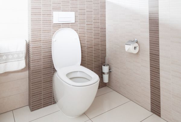 Cost of Toilet Plumbing Installation in Woodbridge